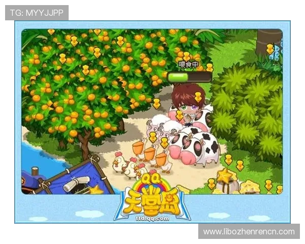 金鲨银鲨老虎机线上平台推荐，安全可靠让你尽情享受游戏乐趣